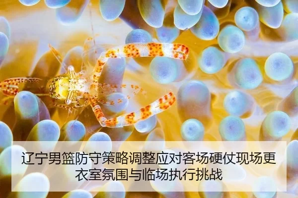 辽宁男篮防守策略调整应对客场硬仗现场更衣室氛围与临场执行挑战